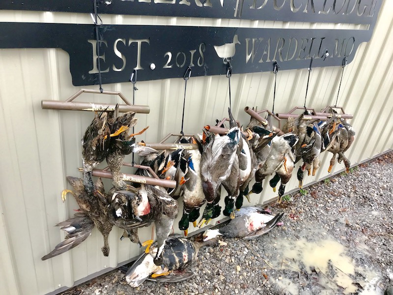 Missouri Duck Hunting Guided Hunts Pure Hen Southern Duck Lodge