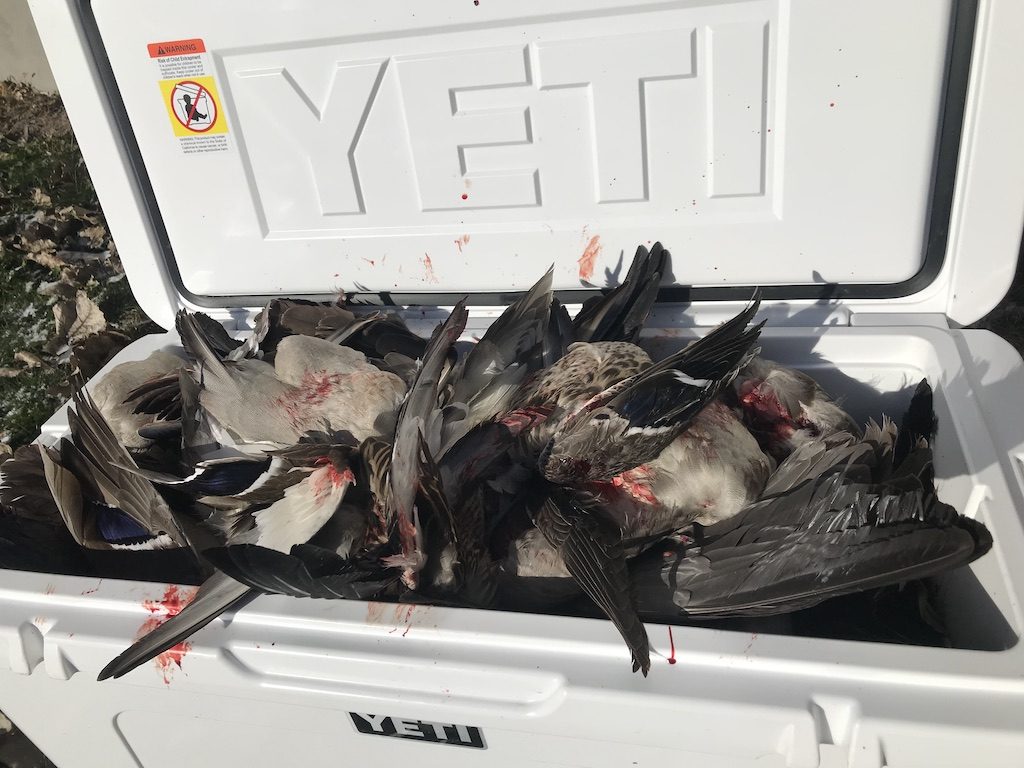ONTARIO CANADA DUCK HUNT