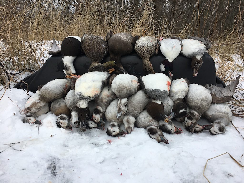 guided hunting trips ontario