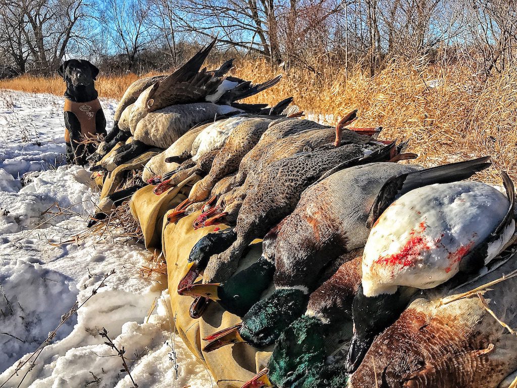 guided hunting trips ontario