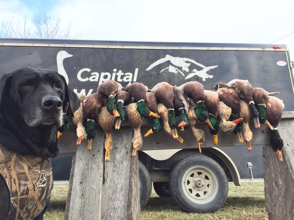 Hunting Season 2024 Ontario Dates Doti Nannie