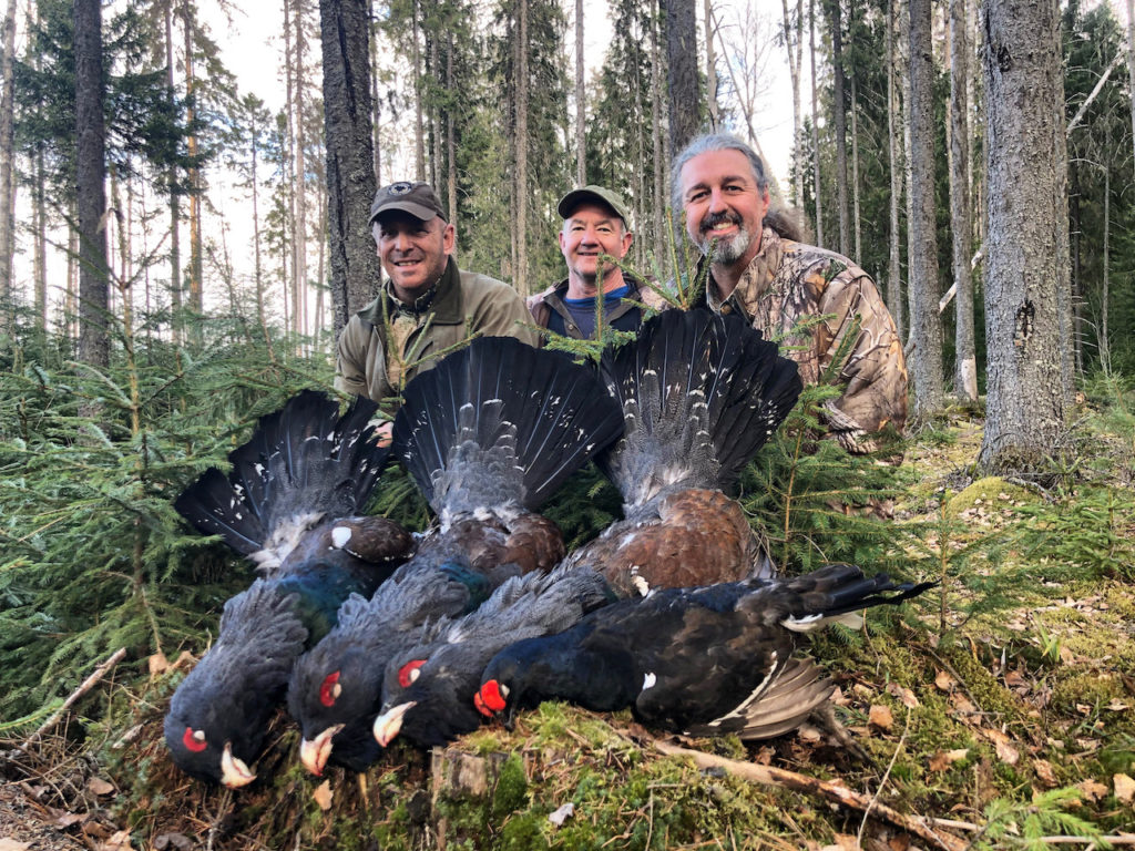 Getducks.com RUSSIA CAPERCAILLIE HUNTING