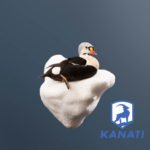 KANATI DUCK TAXIDERMY