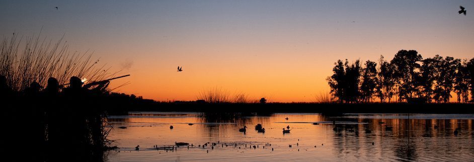 Las Flores Argentina duck hunting