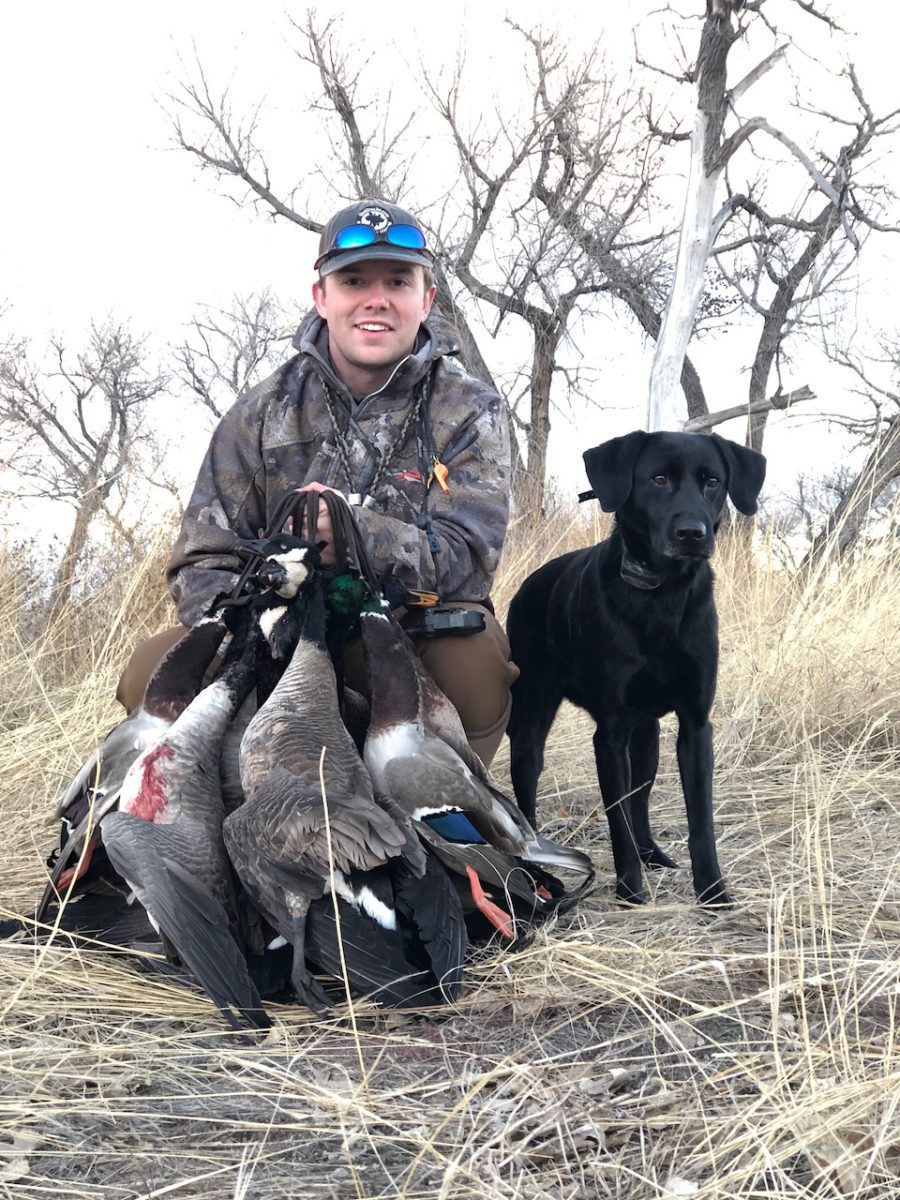 Wyoming duck hunting