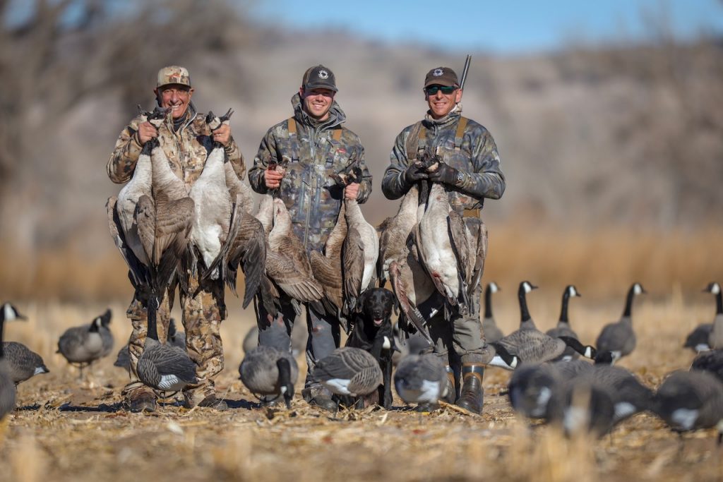 wyoming goose hunt