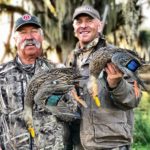 mottled duck