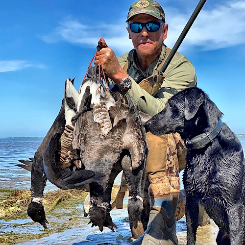 black pacific brant