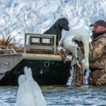 Utah tundra swan hunting