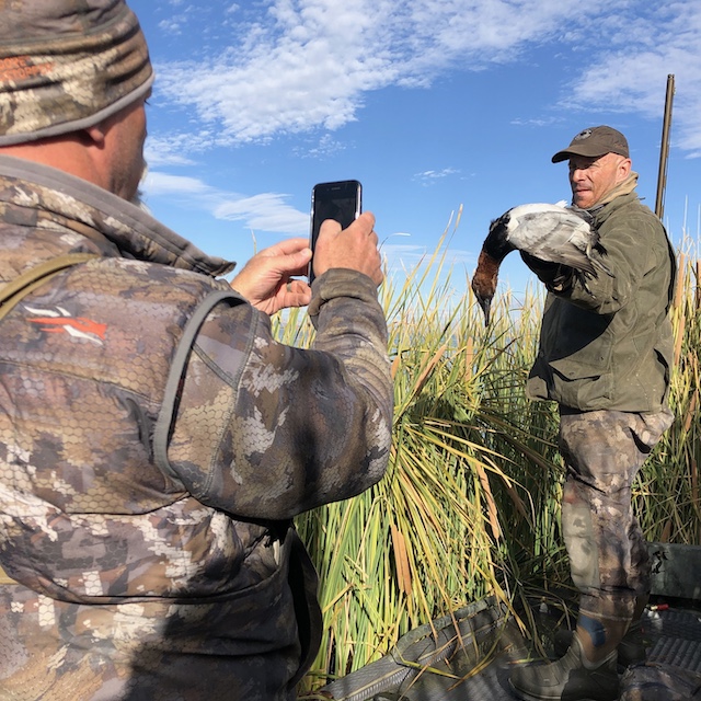 Hunting Canvasbacks in Utah Sago Pondweed