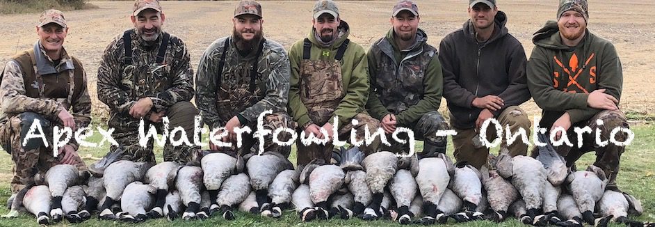 Guided Ontario Canada Goose Hunts