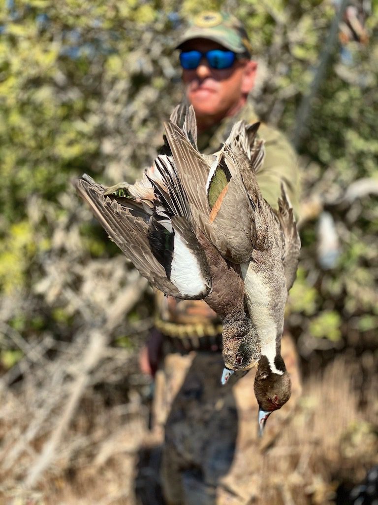 Mexico duck hunt sprigs