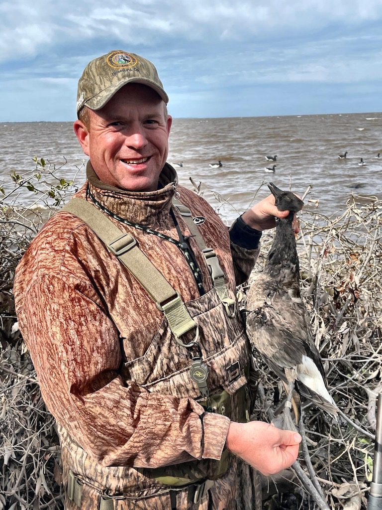 banded pacific brant in Mexico