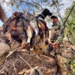 Mexico duck hunt guides