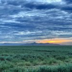 Mexico duck hunt Yaqui Valley