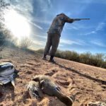 Mexico White Winged Dove Hunt