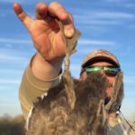 Mexico duck hunting guides