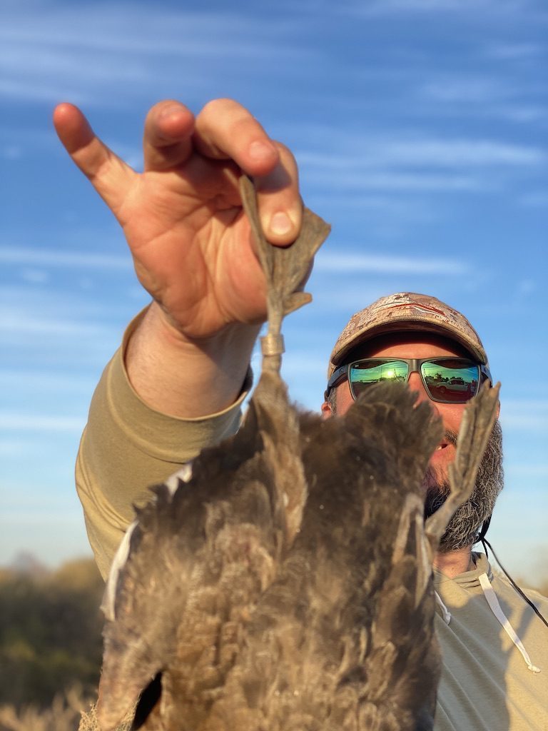 Mexico duck hunting guides