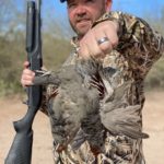 Gambel's quail