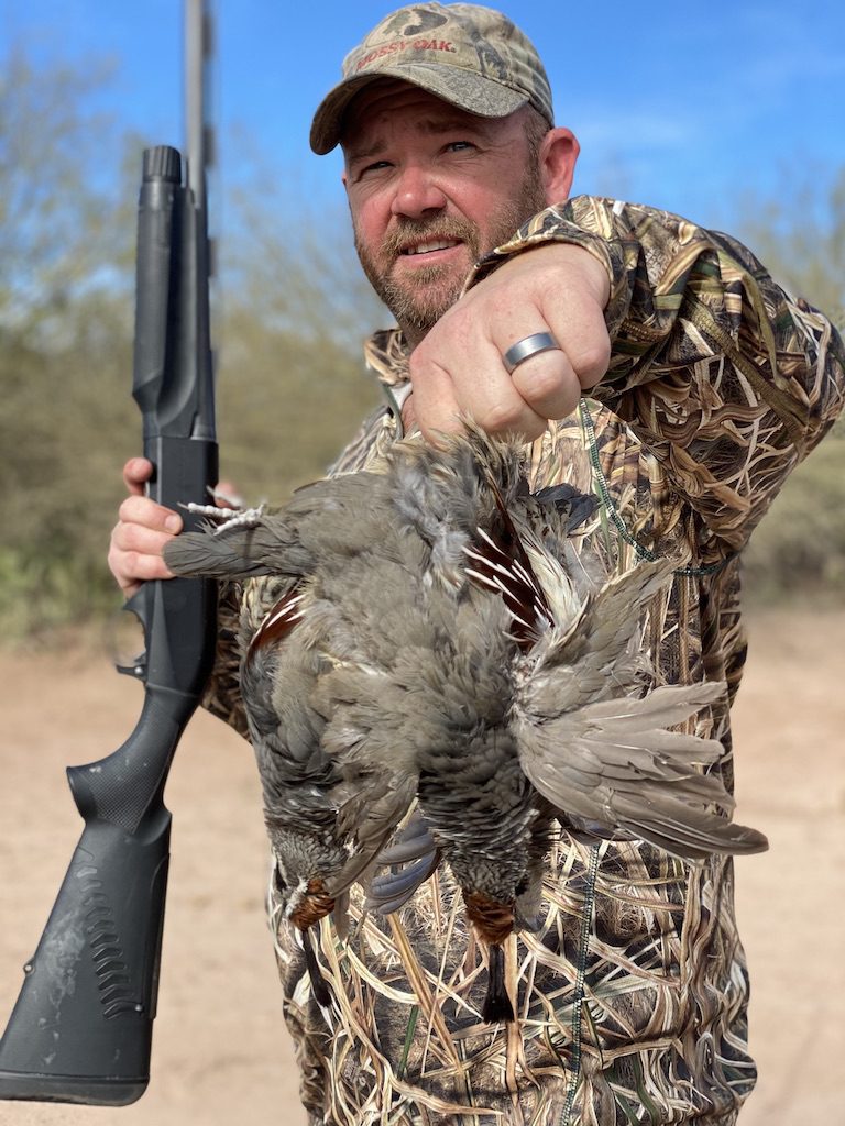 Gambel's quail