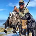 Mexico Pacific Brant Hunting