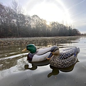 Alabama waterfowl decoy carving