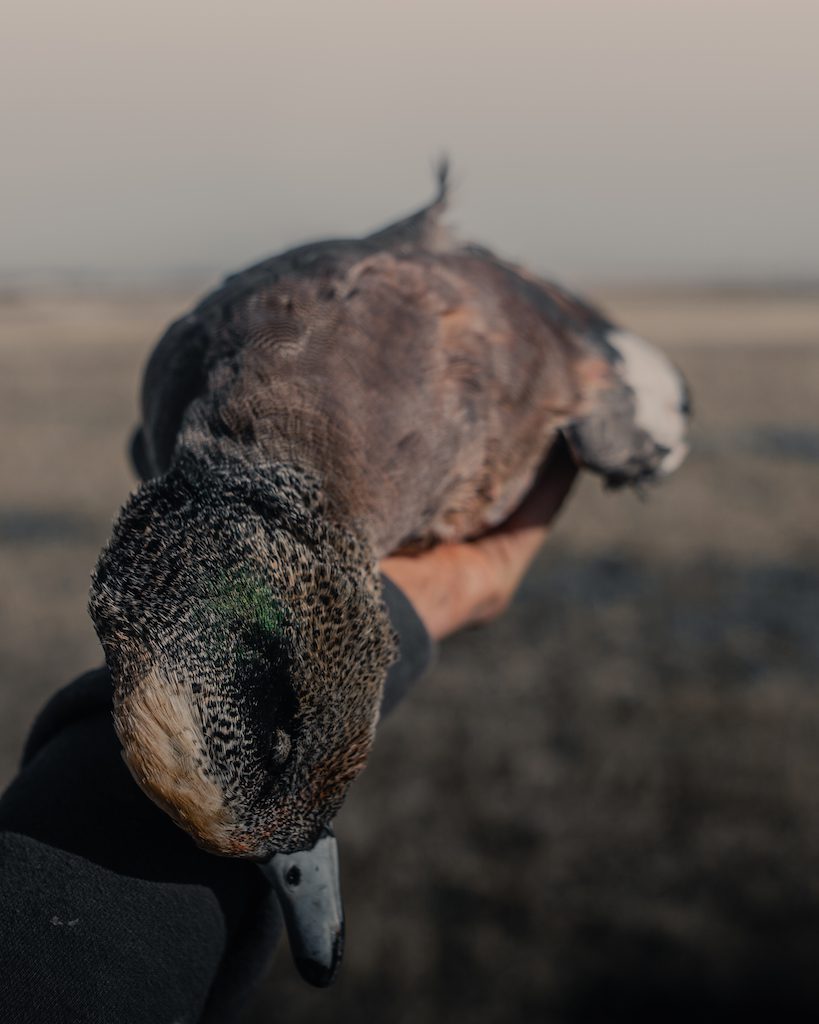 Complete Guide to Waterfowl Hunting in North Dakota - Wildfowl