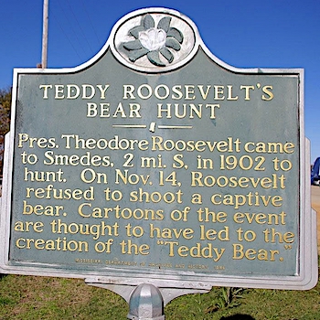 teddy roosevelt mississippi bear hunt
