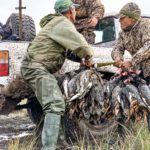 best duck hunts in argentina