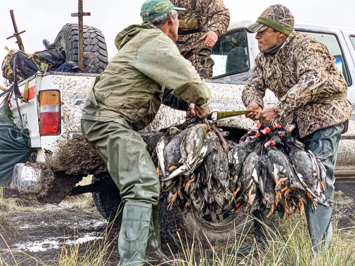 best duck hunts in argentina