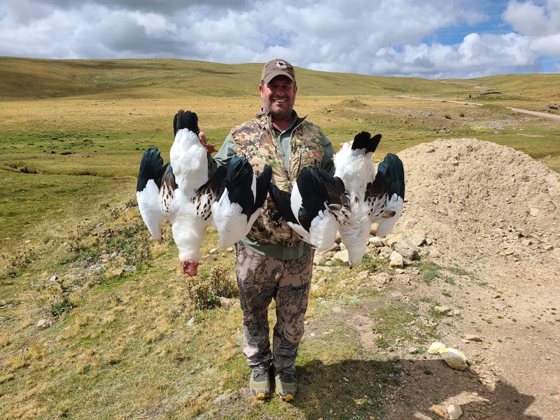 Andean Goose Hunt in Peru
