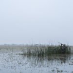 wild duck hunting place in argentina