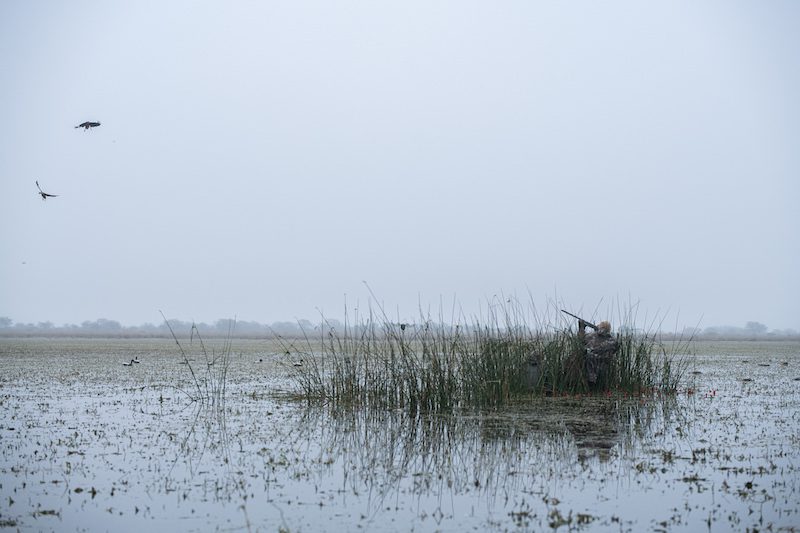 wild duck hunting place in argentina