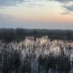 Azerbaijan Duck Hunting Guide