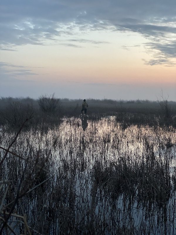 Azerbaijan Duck Hunting Guide