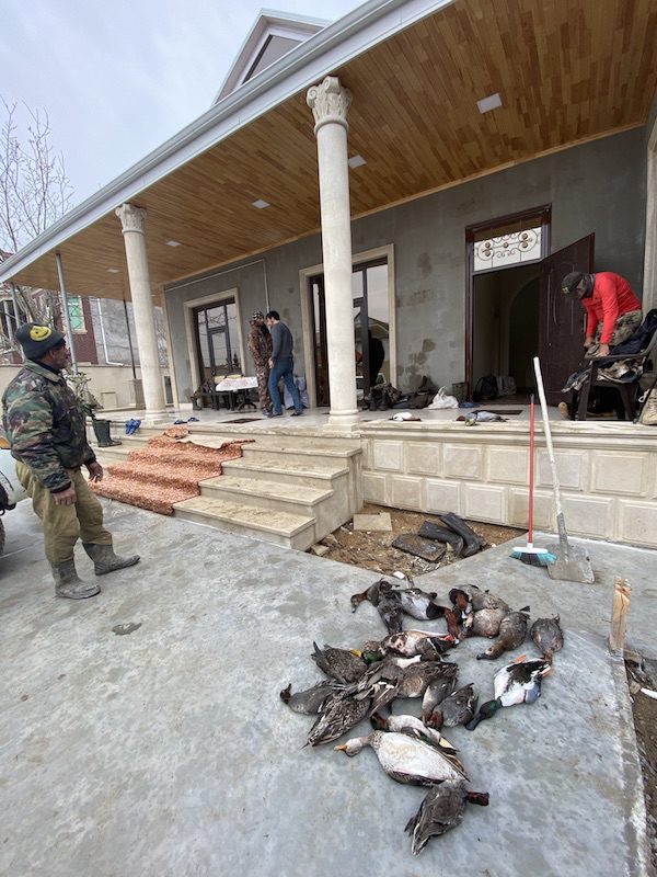 Azerbaijan Duck Hunting Lodge