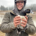 Banded ringnecked duck