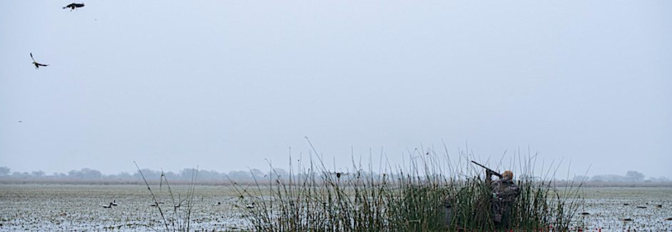 rio salado argentina duck hunting photos