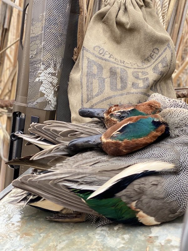 Ramsey Russell Uses Boss Shotshells Hunting Ducks in Azerbaijan