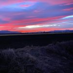 Montana goose hunt sunrise