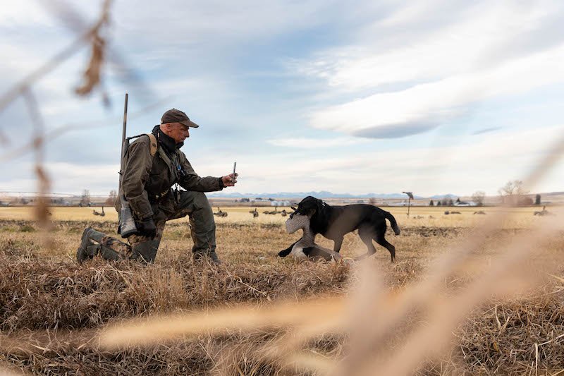 Ramsey Russell Bozeman Montana Goose Hunting