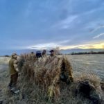 canada goose hunting montana