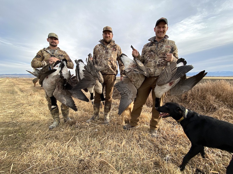 matt mccormick ramsey russell canada goose hunting Montana