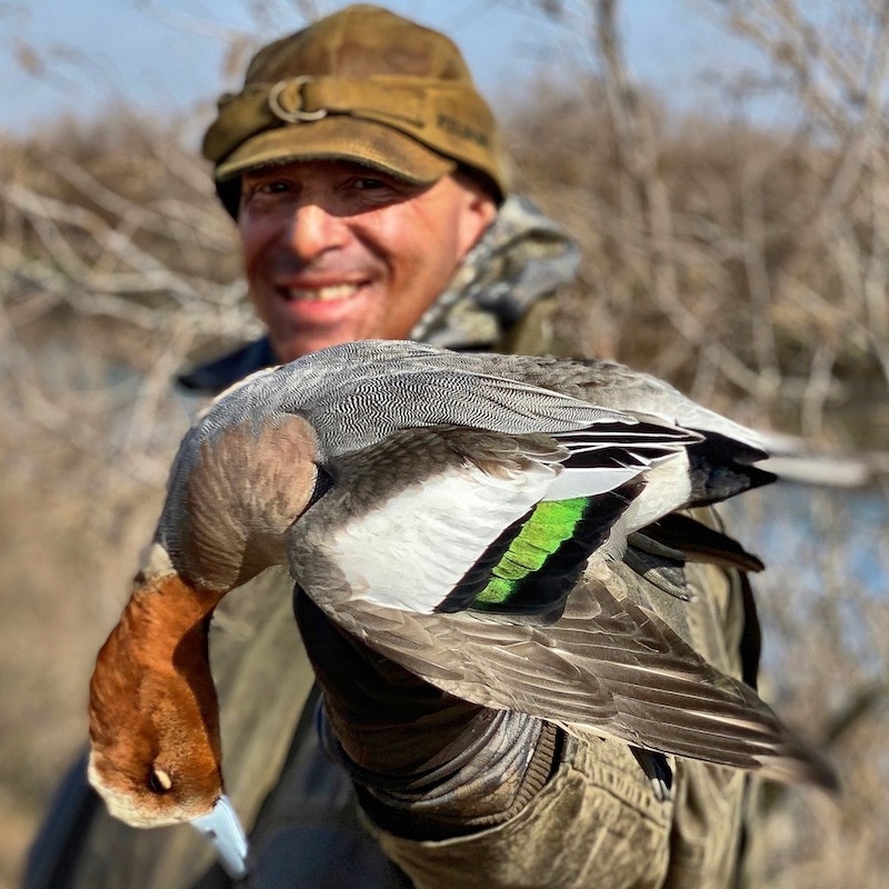 Eurasian Wigeon Trophy