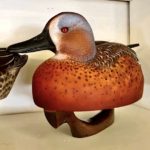 Mike Braun competition decoy
