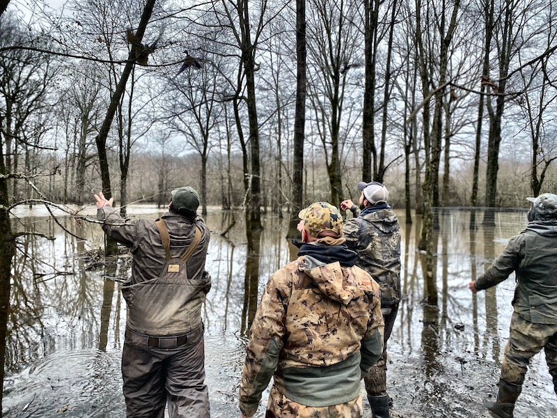 waterfowl banders releasing ducks