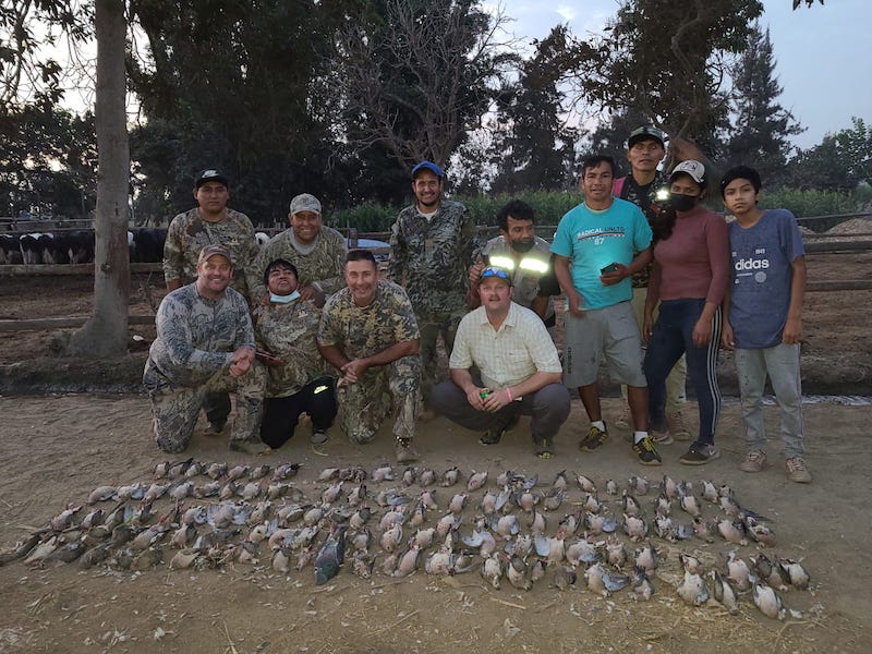 Pacific White-winged Dove Hunt in Peru