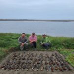 Peru Cinnamon Teal Duck Hunt
