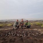 Peru Cinnamon Teal and White-cheeked Pintail Hunt