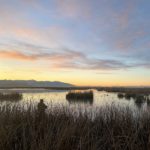 Ramsey Russell Utah Duck Hunting Club